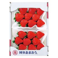 アデリー 2024【御歳暮】のし付き 福岡あまおう AMO-2 1箱（直送品）