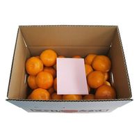 フルーツワールド 2024【御歳暮】のし付き 静岡県産 三ヶ日みかん[4kg] fw-mib4k 1箱（直送品）