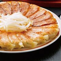 アイエスワイ 2024【御歳暮】のし付き 静岡B級グルメ浜松餃子45粒 HG-3 1箱（直送品）