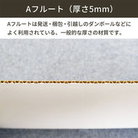 シモジマ 板ダンボール 片面白 120×90cm 5mm　4571689031303　1セット（20枚入）（直送品）