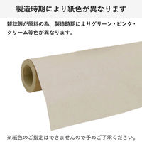 シモジマ ボーカスペーパー 紙緩衝材 538mm×20m 2巻セット PK03-0002-AS 1セット(2巻入)（直送品）