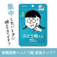 ぶどう糖入りガム 18g 12個 ガム ロッテ