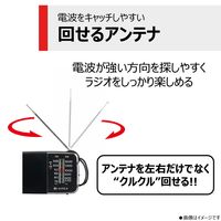 東芝 LEDライト付きホームラジオ TY-KR20（K） 1台