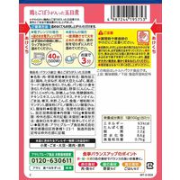 介護食 やわらか食 アサヒグループ食品 バランス献立 鶏とごぼうが入った五目煮 3個【歯ぐきでつぶせる】