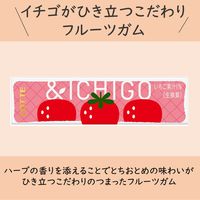 【アウトレット】こだわりフルーツ＜＆イチゴ＞ 1セット（1個×15） ロッテ ガム