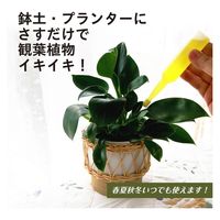 紀陽除虫菊 活力剤(観葉植物用)35ml×10本入 K-2616 1セット(5個)（直送品）