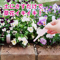 紀陽除虫菊 活力剤(草花・鉢花用)35ml×10本入 K-2617 1セット(10個)（直送品）