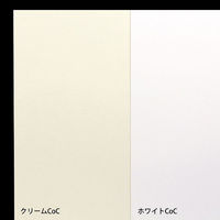 山櫻 名刺 mini (49x49) さくらクリームCoC 025 YAMA-7002-0012 1個(100枚)（直送品）