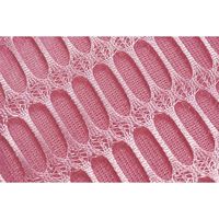 BEAULy うぶピンバストミトン コジット