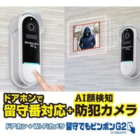 ダイトク グランシールド カメラ付きインターホン 留守でもピンポンG2 GS-DB026DTK 1個 660-8720（直送品）