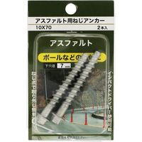 八幡ねじ YAHATA アスファルト用ねじアンカー 2個入 10X70 4979874066695 1パック(2個) 362-8659（直送品）