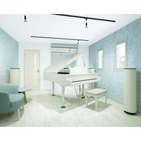 大建工業 DAIKEN インテリア吸音材 サウンドトロン・ブラック WB1101-01 1本 470-9168（直送品）