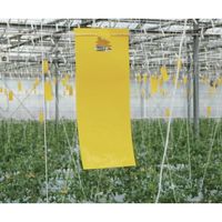 大協技研工業 IVY NEW虫バンバン 黄色 20枚入り/袋 IVY112 1袋(20枚) 521-2401（直送品）