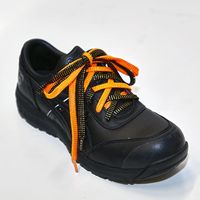 トラスコ中山 TRUSCO 一発判明カラフル靴ひも120cm 9色セット(ゴールドラメ) SKH-9GSET 1セット 546-0772（直送品）