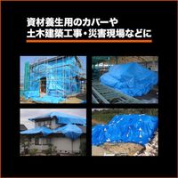 トラスコ中山 TRUSCO エコブルーターピーシート#3000 幅2.7mX長さ3.6m TP-2736A 1枚 555-5607（直送品）