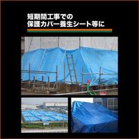 トラスコ中山 TRUSCO αブルーシート #1500 幅5.4m×長さ7.2m A-5472 1枚 555-5596（直送品）