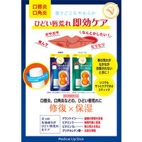 メンターム 薬用メディカルリップスティックMa 近江兄弟社