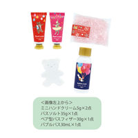 シーズングリーティング アドベントボックス 1個 チャーリー