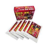 ラフェルサ サリスターパップID温感 30枚 関節痛 腰痛 肩こり痛【第2類医薬品】