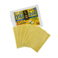 ピタフィット 24枚 生薬成分配合 打撲 ねんざ 肩こり 腰痛【第3類医薬品】