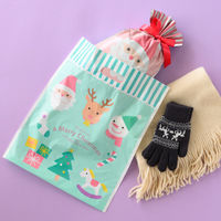 ヘッズ チャーミングクリスマスPEバッグー2 XCM-2 1袋(50枚)