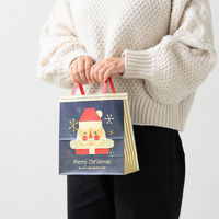 【クリスマス】ヘッズ クリスマス北欧ペーパーバッグー2XHK-2P1袋（50枚）