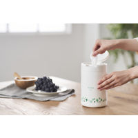 ウェットティッシュ ノンアルコール 除菌ができるウェットティッシュ 本体 100枚入 1個 アイリスオーヤマ