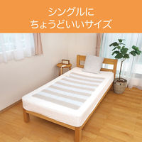 小泉成器 電気毛布(電磁波カット敷) KDS50246D 1台