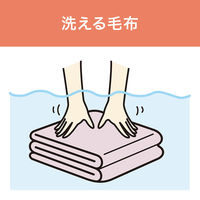 小泉成器 電気毛布(ボトム敷) KDS40241 1台