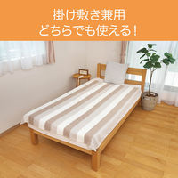 小泉成器 電気毛布(快眠タイマー掛敷) KDK75248T 1台