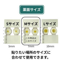 オーラク膏H Mサイズ 12枚入【第2類医薬品】