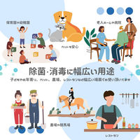 丸紅フォレストリンクス 次亜塩素酸水 10L(ジアルール・プロ) 500ppm kari4573272233019 1箱