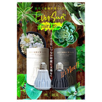 ゼンスイ Ever Sun 365 mini 12W WHITE 329393 1個（直送品）