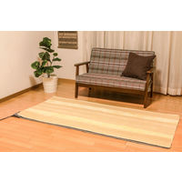 アイリスオーヤマ ホットカーペット 1畳 電気カーペット 176×88cm ダニ退治 無段階温度調節 IHC-10-H グレー