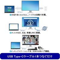 EIZO <FlexScan>24.1インチカラー液晶モニター EV2495-BK 1台