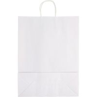 シモジマ 25チャームバッグ KA E晒白無地 003280420 1セット(1束(50枚)×4)