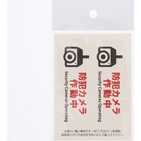 HEIKO ピクトグラムステッカー　Ｓ　防犯カメラ作動中　1束 007062366 1束×10束（直送品）