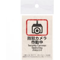 HEIKO ピクトグラムステッカー　Ｍ　防犯カメラ作動中　1束 007062376 1束×10束（直送品）