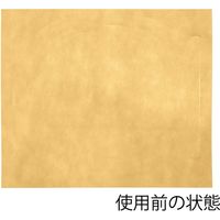 エスパック KPSーLLー2 アミタイLL キャメル 50枚/袋 008713004 1セット(1袋(50枚入)×24)（直送品）