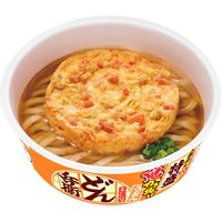 日清食品 日清のどん兵衛 特盛鬼かき揚げうどん[甘みと旨み際立つ大切り玉ねぎ] カップ麺 カップうどん 大盛　1箱(12食入）