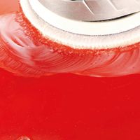 BOSCH ランダムアクションサンダーセット GEX125-1AEJ 1台（直送品）