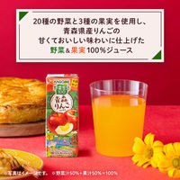 カゴメ 野菜生活100 青森りんごミックス 195ml 1セット（48本）