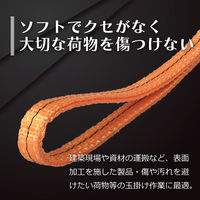 フリーク ベルトスリングE型 使用荷重630kg 幅20mm 長さ3m 561419 1本