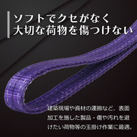 フリーク ベルトスリングE型 使用荷重800kg 幅25mm 長さ0.6m 561421 1本