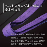 フリーク ラウンドスリングN型 使用荷重1000kg 幅50mm 長さ1m 561476 1本（直送品）