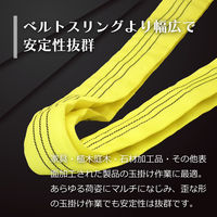 フリーク ラウンドスリングN型 使用荷重3000kg 幅60mm 長さ2.5m 561491 1本（直送品）