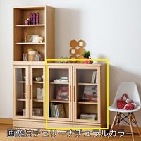 小島工芸 NOF(ニューオファー)シリーズ 書庫 開戸タイプ 幅902×奥行410×高さ952mm NOF-90 ウッディホワイト 1台（直送品）