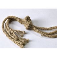 スパイス Wow!クールアフリカン ハンギングポット トライアングルピラミッド ホワイト Lサイズ CPGH2223WH 1個（直送品）