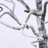 スパイス クリスマス LEDブランチツリー ブラウン Lサイズ RJXN3113BR 1個（直送品）