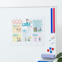 コクヨ マグネットカードケース B4 内寸法262×369 マク-604W 5枚